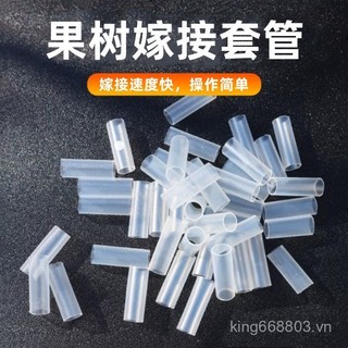 Rau Quả Cây Trái Cây Chuyên Dụng Ghép Tay Cà Chua Cây Giống Dưa Hấu Ghép Ống Silicon Nhánh Hoa Ghép Ống IUZM