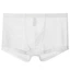 Quần lót nam mùa hè quần boxer quần lót boxer ren lưới trong suốt thể thao gợi cảm thoáng khí1