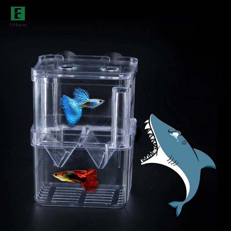 Ehbqna Double-Deck Clear Fish Breeding Isolation Box Aquarium Fish ...