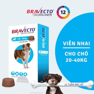 Bravecto Hộp 1 Viên Nhai Vị Thịt Bò Cho Chó 20-40kg Phòng & Diệt Trị Ve ...