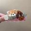 JUNYUE88US Koala Vuốt Tóc, Kẹp Tóc Động Vật Gấu Acrylic, Kẹp Thời Trang Phụ Kiện Tóc Hoạt Hình Cá Mập Lớn Kẹp Cô Gái