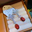Hàn Quốc Thanh Lịch Ánh Sáng Sang Trọng Hoa Zircon Thời Trang Tua Rua Bông Tai Bán Buôn