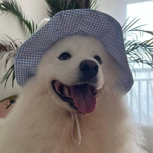 【Ready Stock】 2025 Pet New Sun Protection Headdress Dog Supplies Hat Ear Sun Hat Cute Pet Bucket Hat zrOF