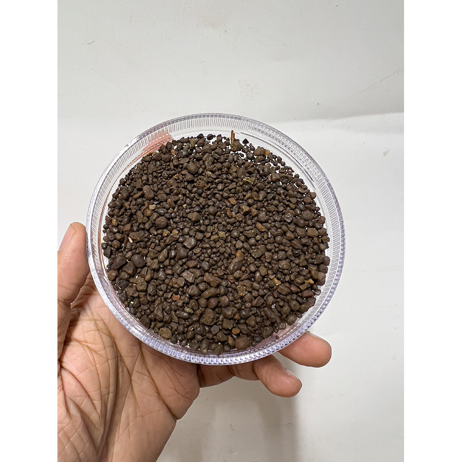 Sỏi Suối Nâu Trải Nền Trang Trí Cho Bể Cá Cảnh, Tiểu Cảnh Cực Đẹp (Túi 500gram)