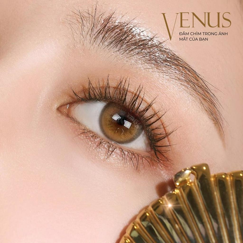 Lens cận nâu tây Venus Brown 💥HÀNG CAO CẤP💥 Kính áp tròng có độ cận (0-6) màu nâu thời thượng cho cô nàng cá tính