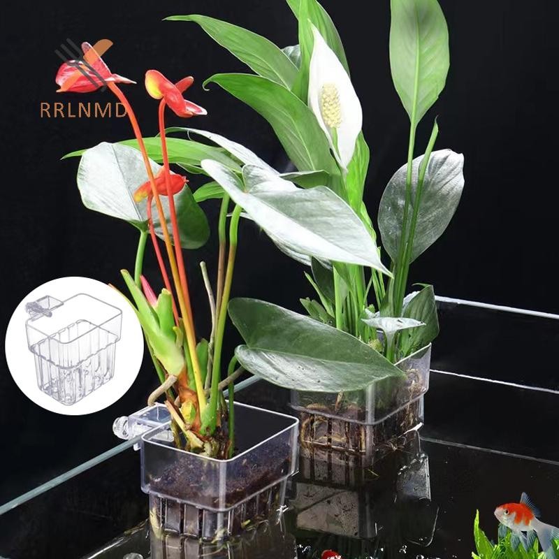 Rrlnmd al Cá Bể Cá Cỏ Nước Plang Cốc Chăn Nuôi Hộp Cách Ly Cây Cá Cảnh Quan Trang Trí MỚI
