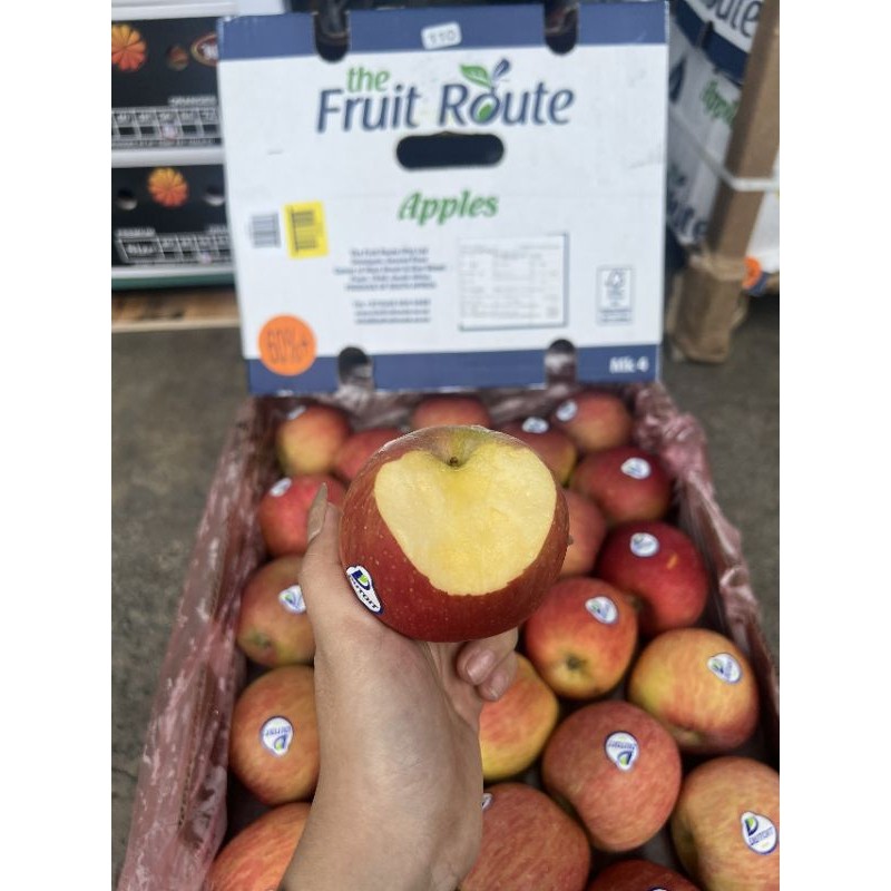 Táo Fuji/ Pháp 🍎 Trái Căng Giòn – Vị Ngọt Mát – Giao Nhanh Trong Ngày