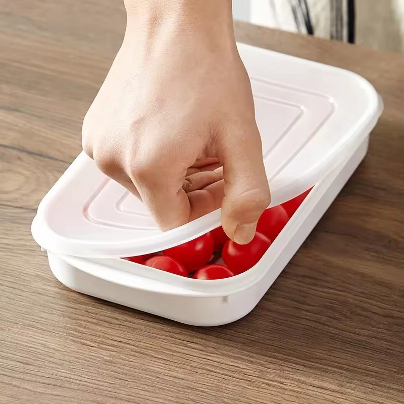 Tủ lạnh bằng nhựa 3 kích thước Hộp giữ tươi có nắp / Hộp đựng kín thịt đông lạnh