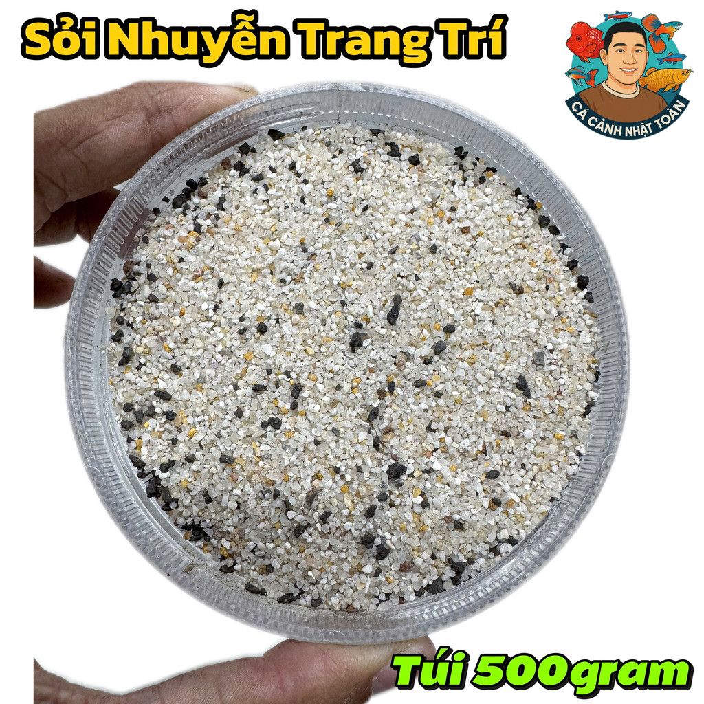 Túi 800gram Sỏi Siêu Nhuyễn và Sáng Đẹp Trang Trí Bể Cá Cảnh, Tiểu Cảnh