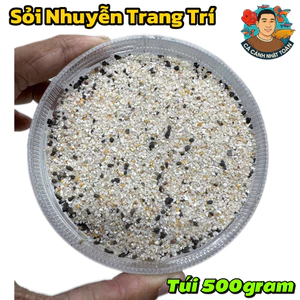 Túi 800gram Sỏi Siêu Nhuyễn và Sáng Đẹp Trang Trí Bể Cá Cảnh, Tiểu Cảnh