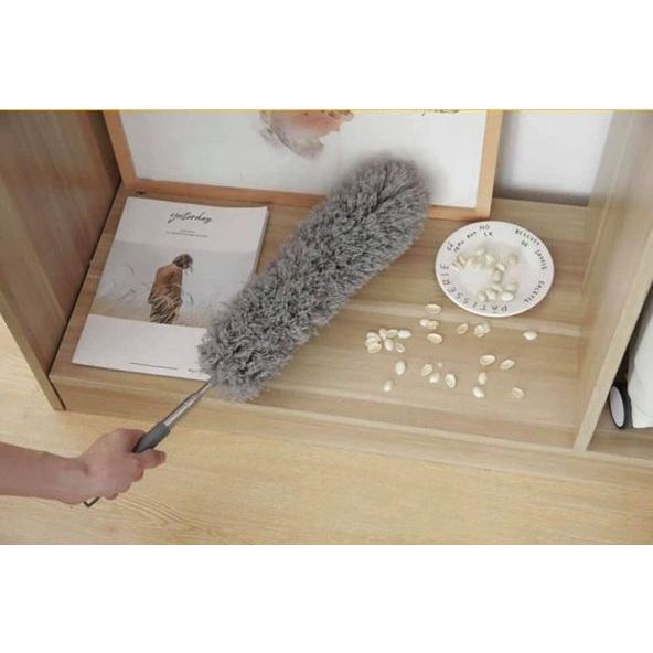 Bộ Chổi Quét Trần Nhà, Mạng Nhện