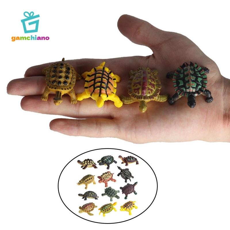 Gamchiano 12 / Bộ Mô Phỏng Động Vật Rùa Series Mô Hình Nhân Vật Biển Rùa Tượng Playset Lớp Học Dự Tiệc Cung Cấp Máy Tính Để Bàn Trang Trí