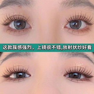 Năm Hàng Thân Trong Suốt Lông Mi Ngọn Lửa Nhỏ Cụm Lông Mi Giả