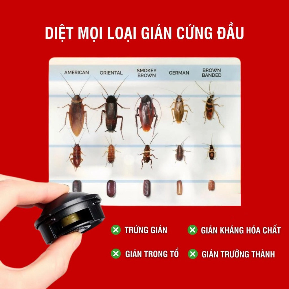 Hộp 12 Viên Diệt Gián Nhật Bản Tận Gốc An Toàn, Viên Đuổi Côn Trùng, Gián Sinh Học Tại Nhà Hiệu Quả Nhanh Chóng DT058