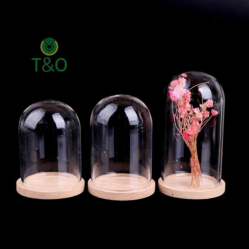 [T & O-t] 1: 12 Nhà búp bê Trang trí thu nhỏ Lọ trưng bày hoa có đế [mới]
