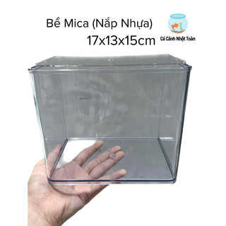 Bể Cá Betta Mica Siêu Trong HIện Đại 17x13x15cm (Có Nắp Nhựa Mica)