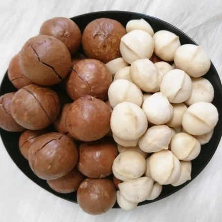 1kg Hạt Macca Tây Nguyên Sấy Nứt Vỏ Size vừa
