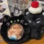 Meow Fox Huy Hiệu Sang Trọng Thanh Chirp Bảo Quản Trong Suốt, Túi Đau Nhỏ, Hiển Thị Thung Lũng, Bảo Vệ Vỏ Sinh Viên