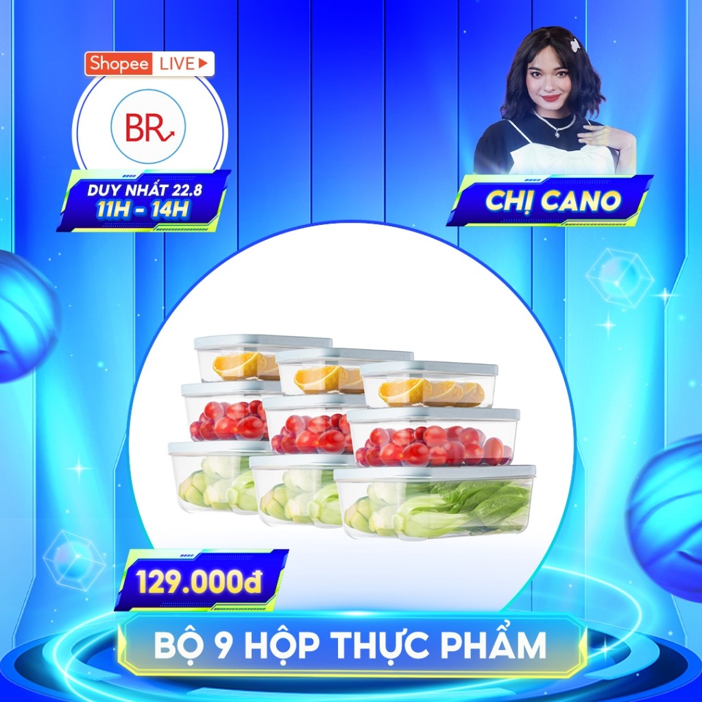 Combo 9 bộ hộp thực phẩm chữ nhật Hokori (MS:6533) Việt Nhật, Hộp bảo quản thức ăn, đồ đông lạnh an toàn tiện lợi 02074