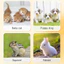 Bình sữa cho con bú có quy mô Bình sữa cho thú cưng chống trượt cho thú cưng sơ sinh