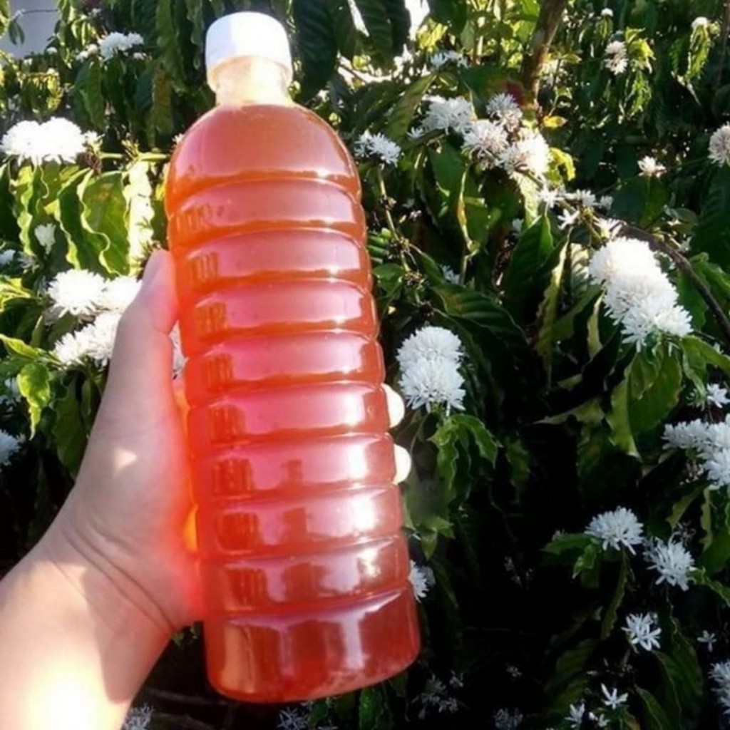 Mật Ong Hoa Cà Phê Tây Nguyên Không Chất Bảo Quản - Xưởng Hạt Dinh Dưỡng Bảo Tâm