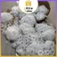 【IN VN】Cao Cấp Chất Liệu Dày Nhập Khẩu Phụ Kiện Bảo Vệ Răng Thi Đấu Tập Võ Thuật Boxing bịt răng
