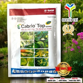 Sản Phẩm Quản Lý Nấm Bệnh Cabrio Top 600WG BASF (Gói 100g) - Công Nghệ AgCelence Giúp Cây Khỏe