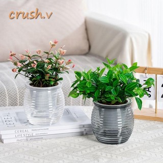 [Crush] Chậu cây tự tưới nước, Chậu hoa để bàn trong suốt thấm nước tự động, Bình hoa trang trí nhà cửa bền bằng nhựa
