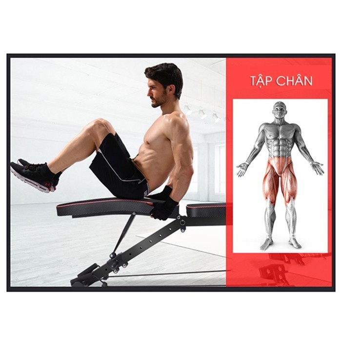Ghế tập Gym đa năng  KK022D tập kết hợp tạ tay New2020