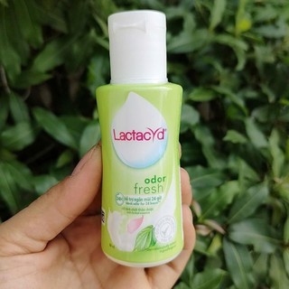 Combo 5 món du lịch gồm: 1 Sữa tắm 250ml + 2 Rửa mặt 40g (Hàng khuyến mãi) + 2 dung dịch vệ sinh 60ml (Hàng khuyến mãi)