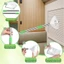 Công cụ bắt nhện 32 inch có thể điều chỉnh hàng đầu với cơ chế giải phóng an toàn cho côn trùng và nhện Sử dụng ngoài trời trong nhà