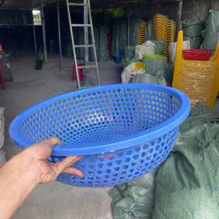 Combo 2c Rổ Nhựa PP Winhome – Rổ Tròn Thoát Nước Nhanh, Rỗ Cải, Nhiều Size - Phương Trang