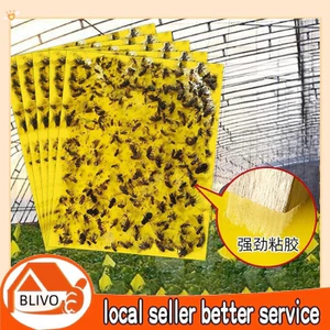 5 PCS Siêu miếng dán ruồi vàng, bẫy dụ ruồi vàng và côn trùng phá hoại mùa màng, cây ăn quả