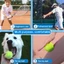 Quả bóng chơi thú cưng ROLY, Quả bóng Tennis không độc hại có độ đàn hồi, Cuộc thi bóng thực hành bền bỉ