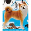 Hàng có sẵn Nhật Bản Đồ chơi viên nang IKIMON Động vật Nhật Bản Đồ trang trí thứ hai Shiba Inu Tree Ếch Rùa 4NQ5