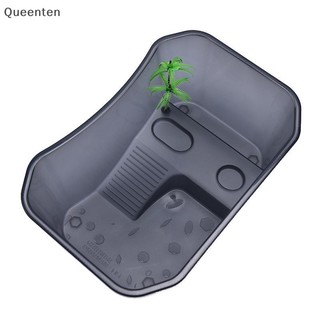 Hộp Vivarium Bò Sát Queenten Cho Rùa Hộp Ăn Rùa Có Nền Tảng Bể QT