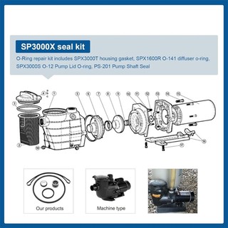 Bộ con dấu bơm bể bơi QUIM Bao gồm vỏ lọc Vòng O Bộ khuếch tán Nhẫn O SPX1600Z2 Thích hợp cho dòng SP3200