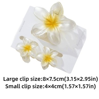 SMILE 3 Cái / bộ Kẹp Móng Vuốt Tóc Hoa, Kẹp Đuôi Ngựa Acrylic Gradient, Phụ Kiện Tóc Plumeria Kẹp Tóc Đi Biển