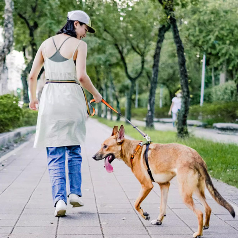 HamshMoc Dây xích Nylon hạng nặng Kẹp xoay không bị rối Chống mài mòn Dệt thoải mái Kẹp đính kèm vòng