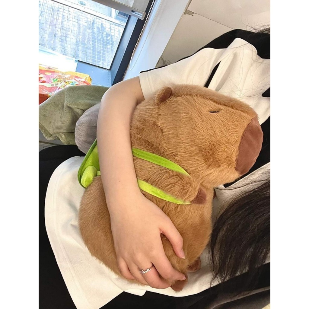 Capybara Nhỏ Capybara Giá Rẻ Hàng Cao Cấp Gấu Capybara Mini Đáng Yêu Kích Thước 20 Đến 35Cm