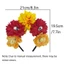 Woke Witch Rose Headband Trang phục phù thủy Halloween Skull và Dark Flower cho chương trình trực tiếp