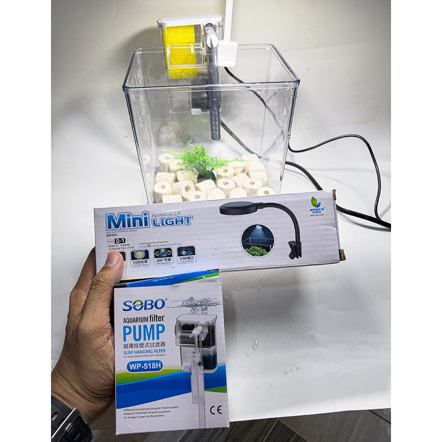 Combo Bể Cá Mini Mica Gồm (Bể, Lọc, Đèn, Phụ Kiện Trang Trí) ( D15cm x R15cm x C12cm)
