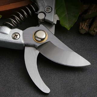 Kéo cắt cành cây ALINE