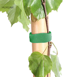 Huxuan 1 / 3 / 5M Dây buộc thực vật bằng Nylon Có thể tái sử dụng Móc vòng dây buộc màu xanh lá cây Băng keo tre Hỗ trợ bọc mía tại nhà Phụ kiện sân vườn RFT