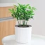 PWSEND Chậu hoa hấp thụ nước lười biếng, Đồ dùng làm vườn Chậu trồng cây Mini Chậu hoa tự tưới nước, Chậu hoa hấp thụ nước màu trơn bền bằng nhựa