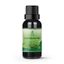 Quà tặng tri ân khách hàng, qùa tặng sự kiện - Máy khuếch tán Ô Tô và 1 chai tinh dầu 30ml