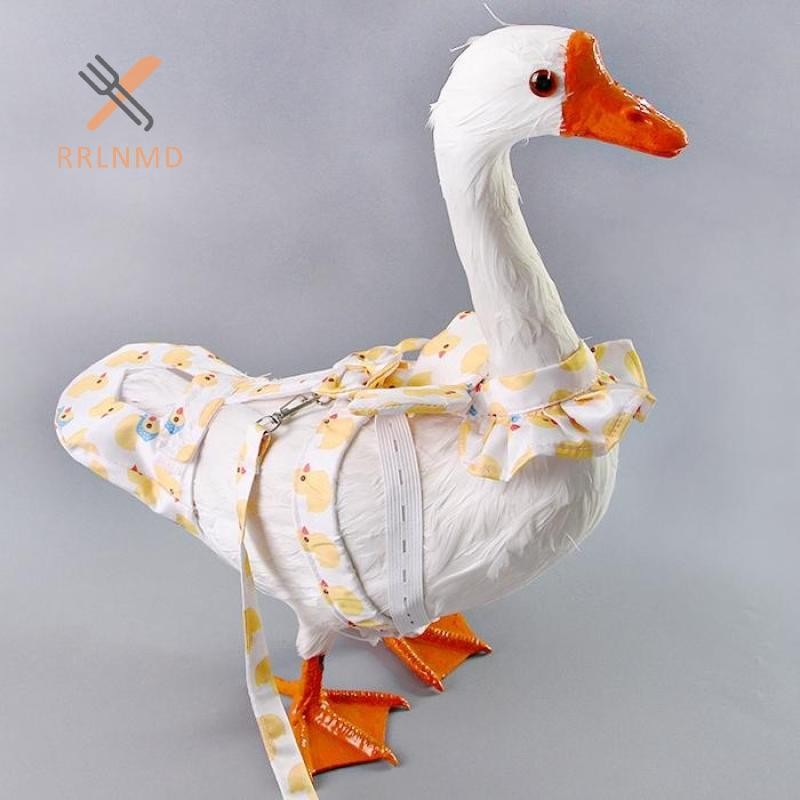 RRLNMD Hoạt Hình Dễ Thương Có Thể Điều Chỉnh Thú Cưng Ngỗng Gà Vịt Tã Kawaii Lực Kéo Ngực Dây Ngỗng Dây Đeo Ngực Ngoài Trời Đồ Dùng Cho Thú Cưng MỚI