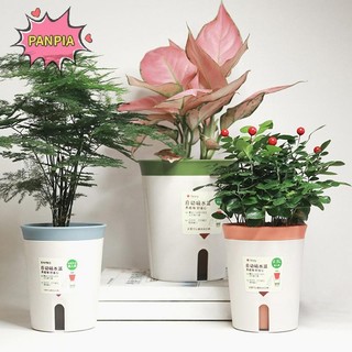 [PNPIA] Chậu hoa thủy canh tự tưới nước hai lớp bằng nhựa Cây hút nước tự động lười biếng Chậu trồng cây trong chậu Văn phòng tại nhà VN