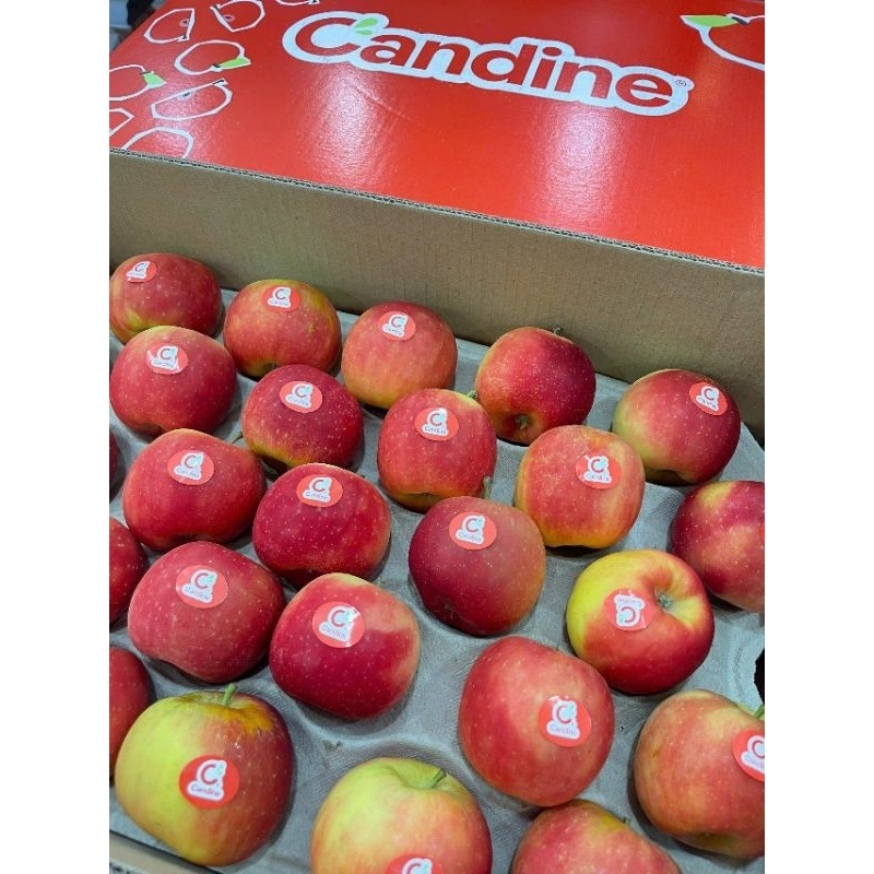 Táo Fuji/ Pháp 🍎 Trái Căng Giòn – Vị Ngọt Mát – Giao Nhanh Trong Ngày