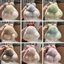 Móc khóa búp bê thỏ lông xù CHEESELY, Búp bê nhồi bông sang trọng Pompoms Bow Rabbit Mặt dây chuyền, Phim hoạt hình thời trang treo túi trang trí Phụ kiện túi mặt dây chuyền